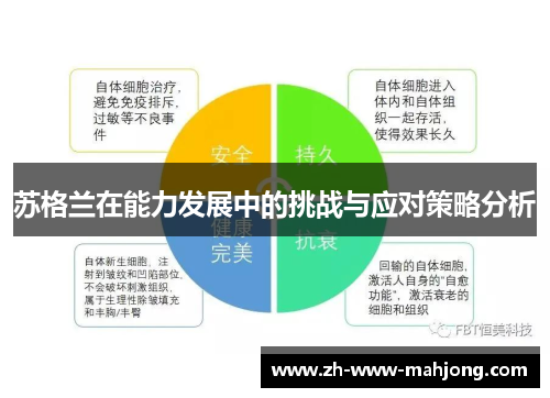 苏格兰在能力发展中的挑战与应对策略分析